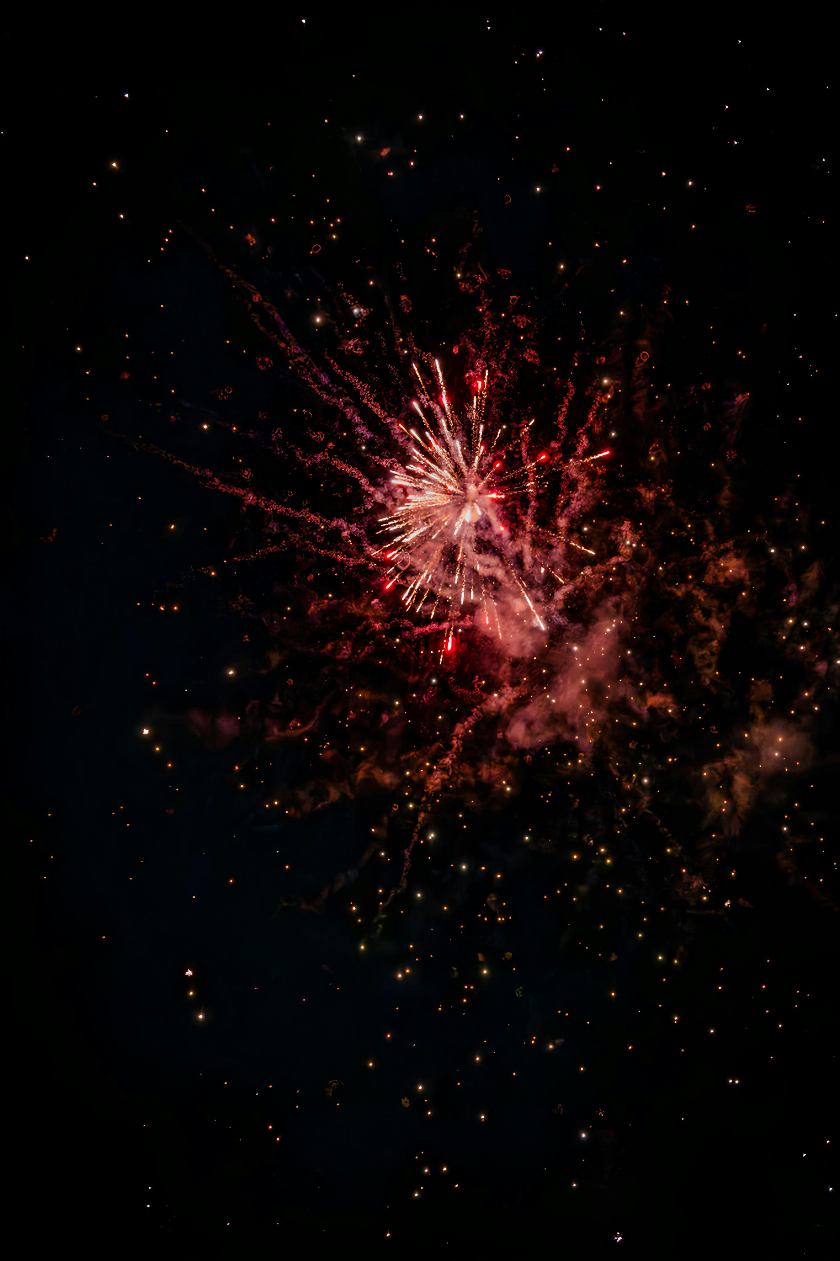Colorful fireworks burst in the night sky, capturing the essence of celebration.