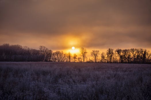 Beautiful winter sunrise over frosted fields and silhouettes of bare trees in Weaver, Minnesota.