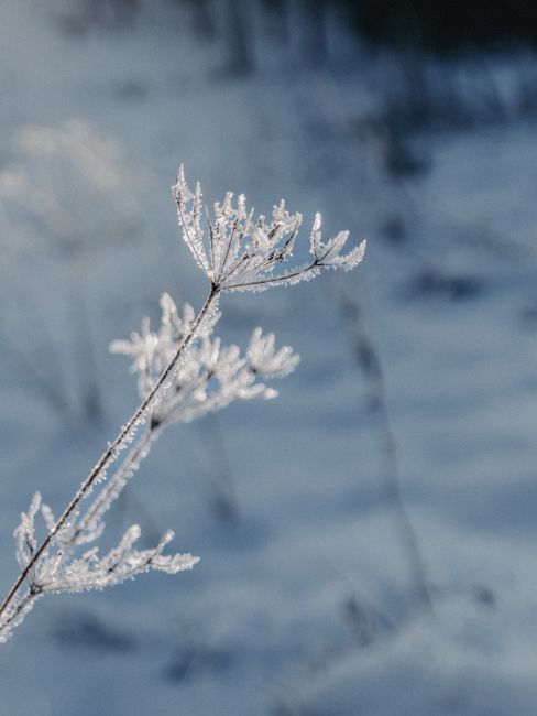 Photo by merwak. raw on pexels