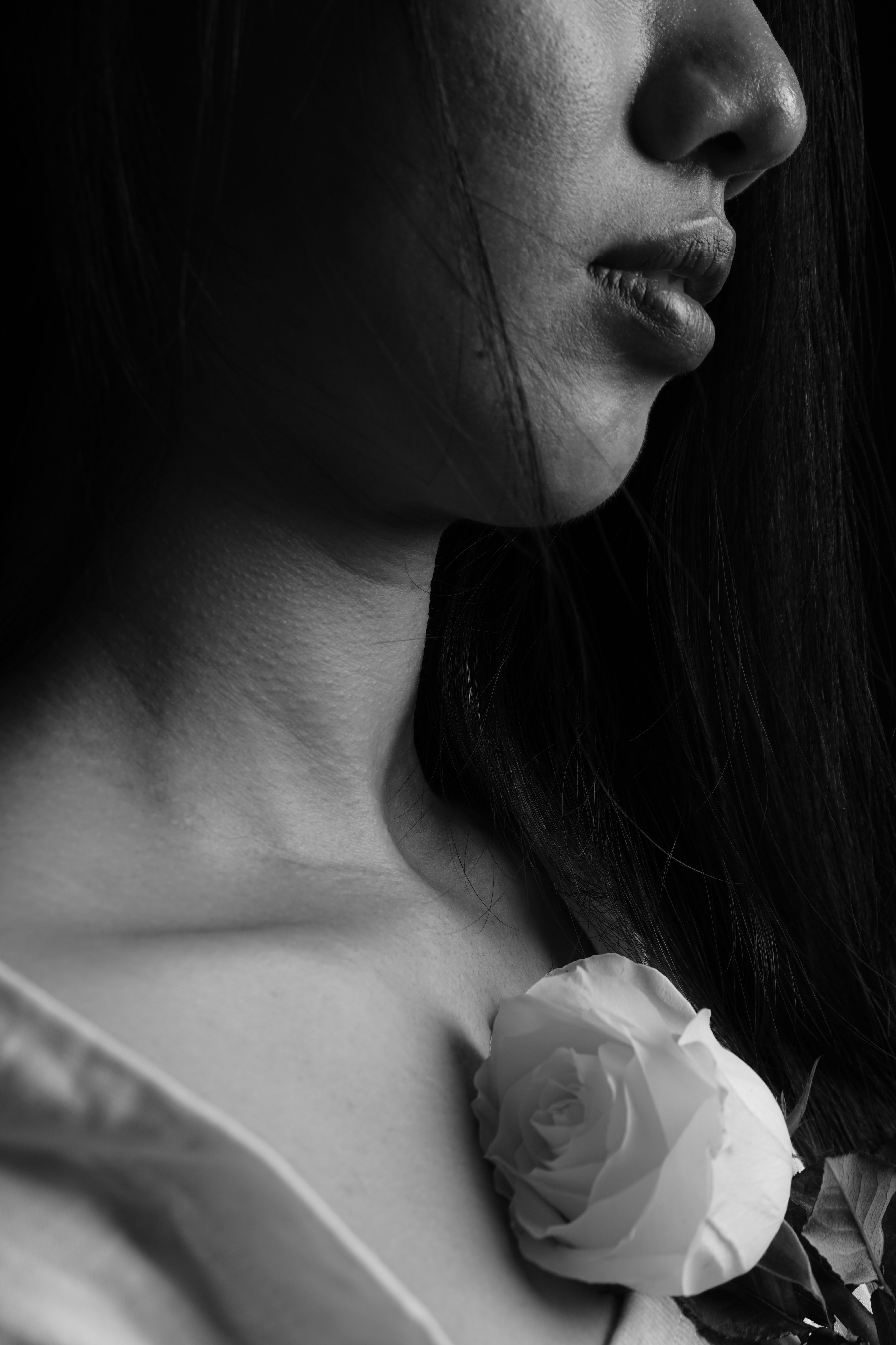 Black and White Portrait of Woman with Rose · Free Stock Photo