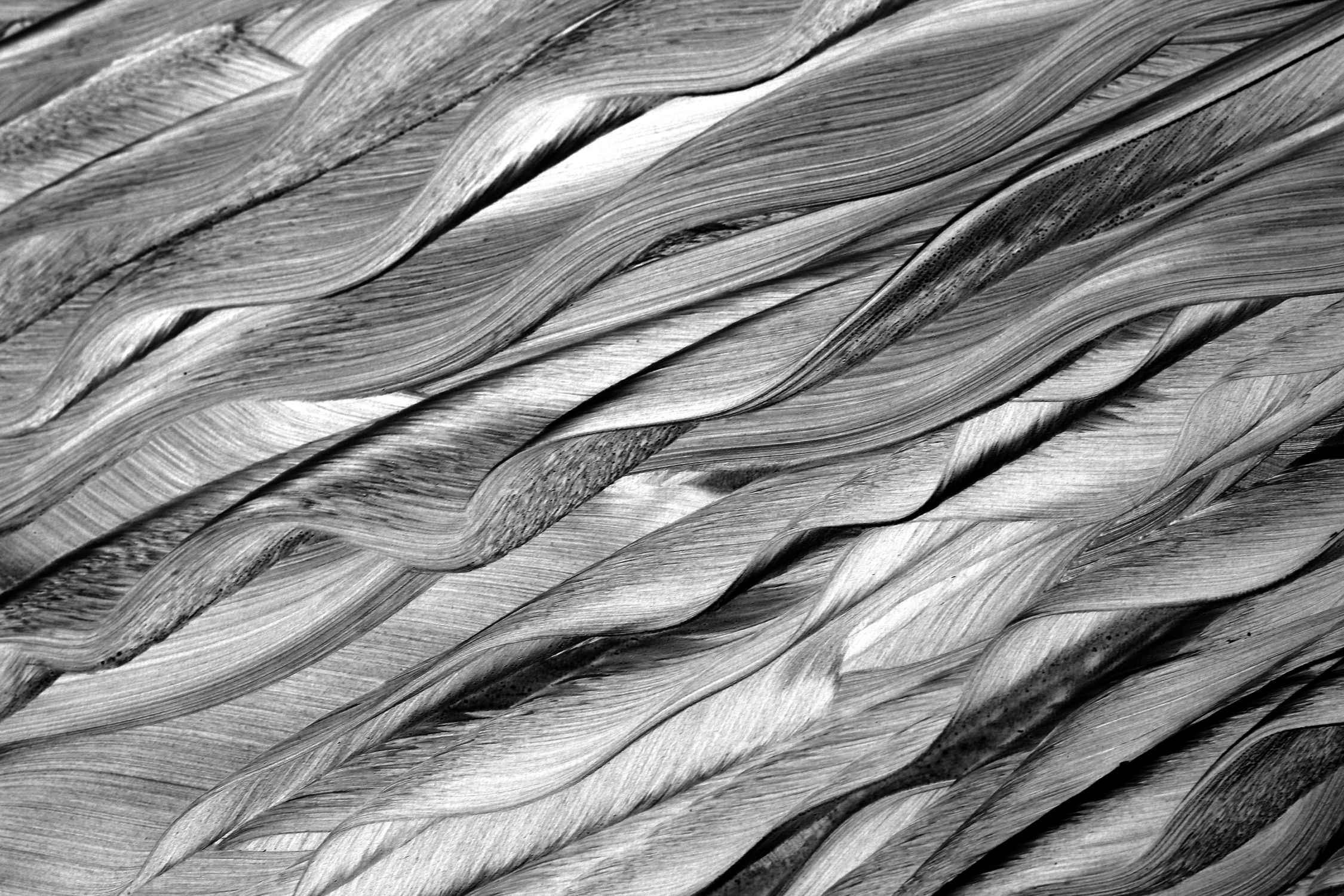 Abstract Close-up of Textured Woven Fibers · Free Stock Photo