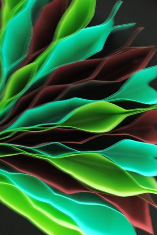 Free Vibrant abstract design with twisted green and red leaf shapes on a black background. Stock Photo