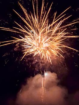 Vibrant fireworks illuminate the night sky with dazzling patterns and colors.