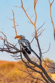 Ayo Dapetin Kredit Toko di Marketplace Kartu TCGplayer! - dapetin 1