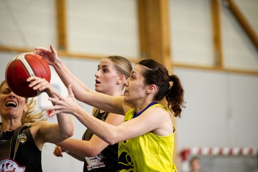 Close-up of women basketball players in a competitive game, reaching for a ball indoors.