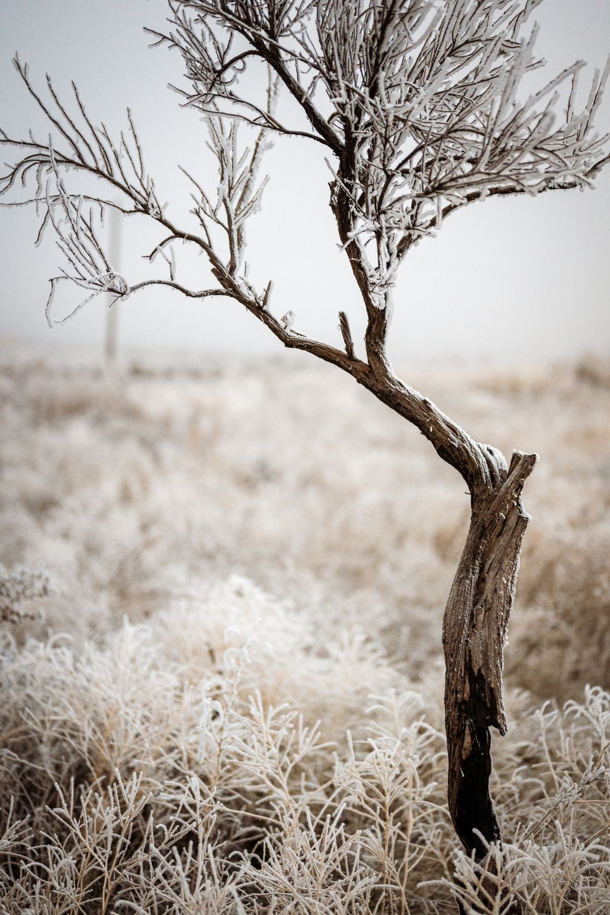 Brett Sayles - Photography