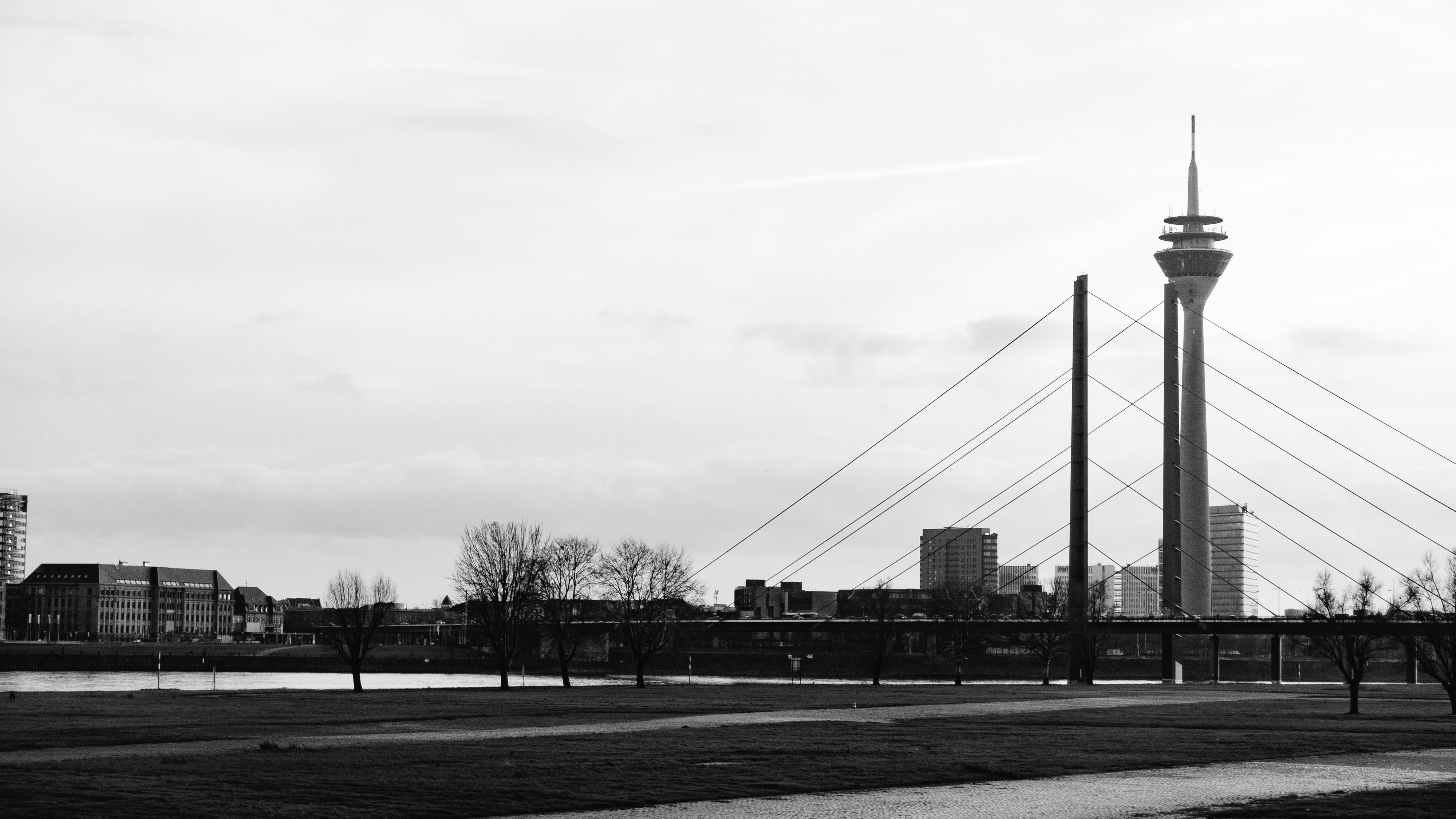 Schwarz-weiße Düsseldorfer Skyline mit Rheinturm und moderner Brücke in Deutschland.