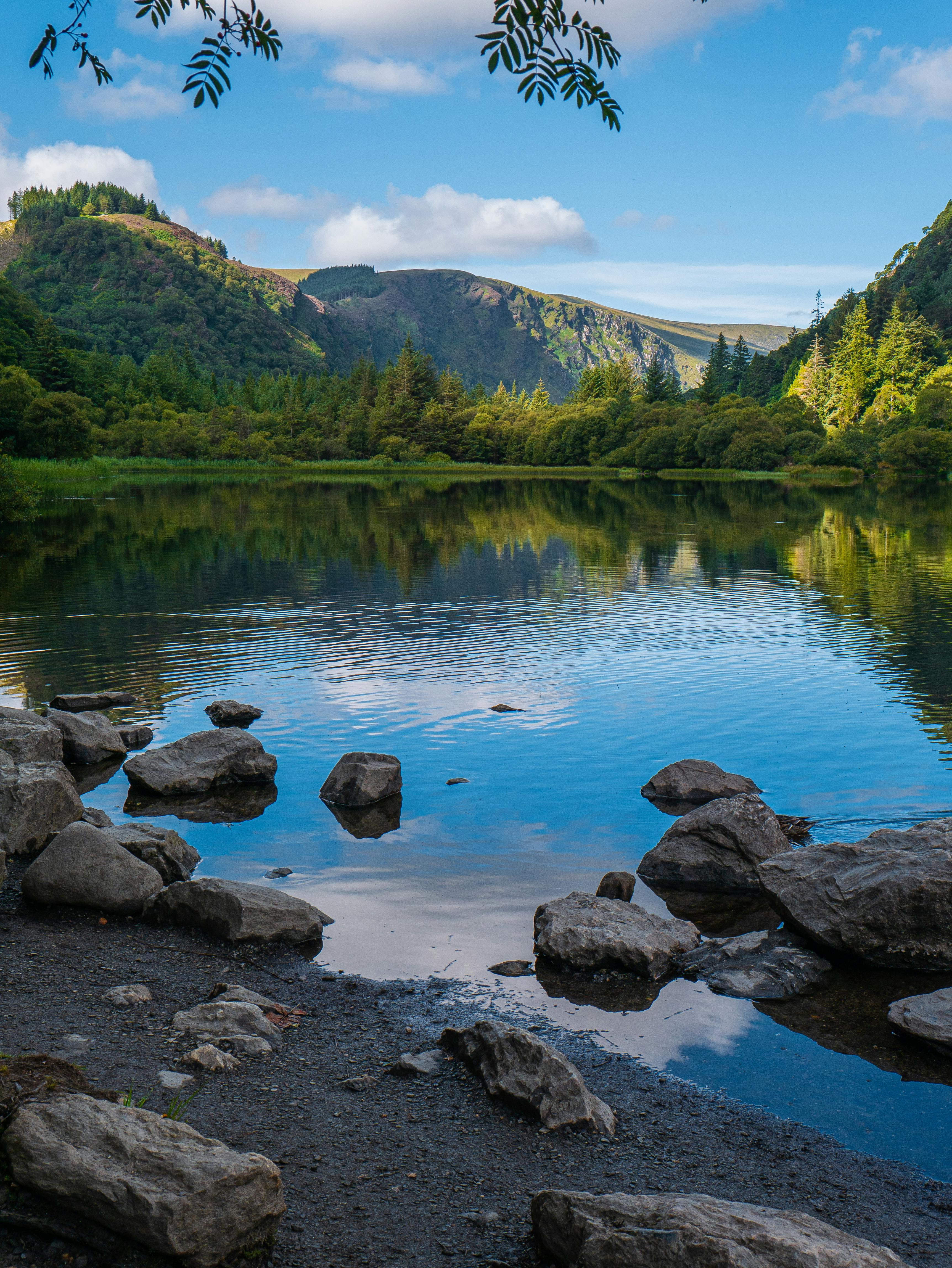 Tranquil view of Glendalough's lake with lush greenery and clear sky, perfect for nature lovers.
