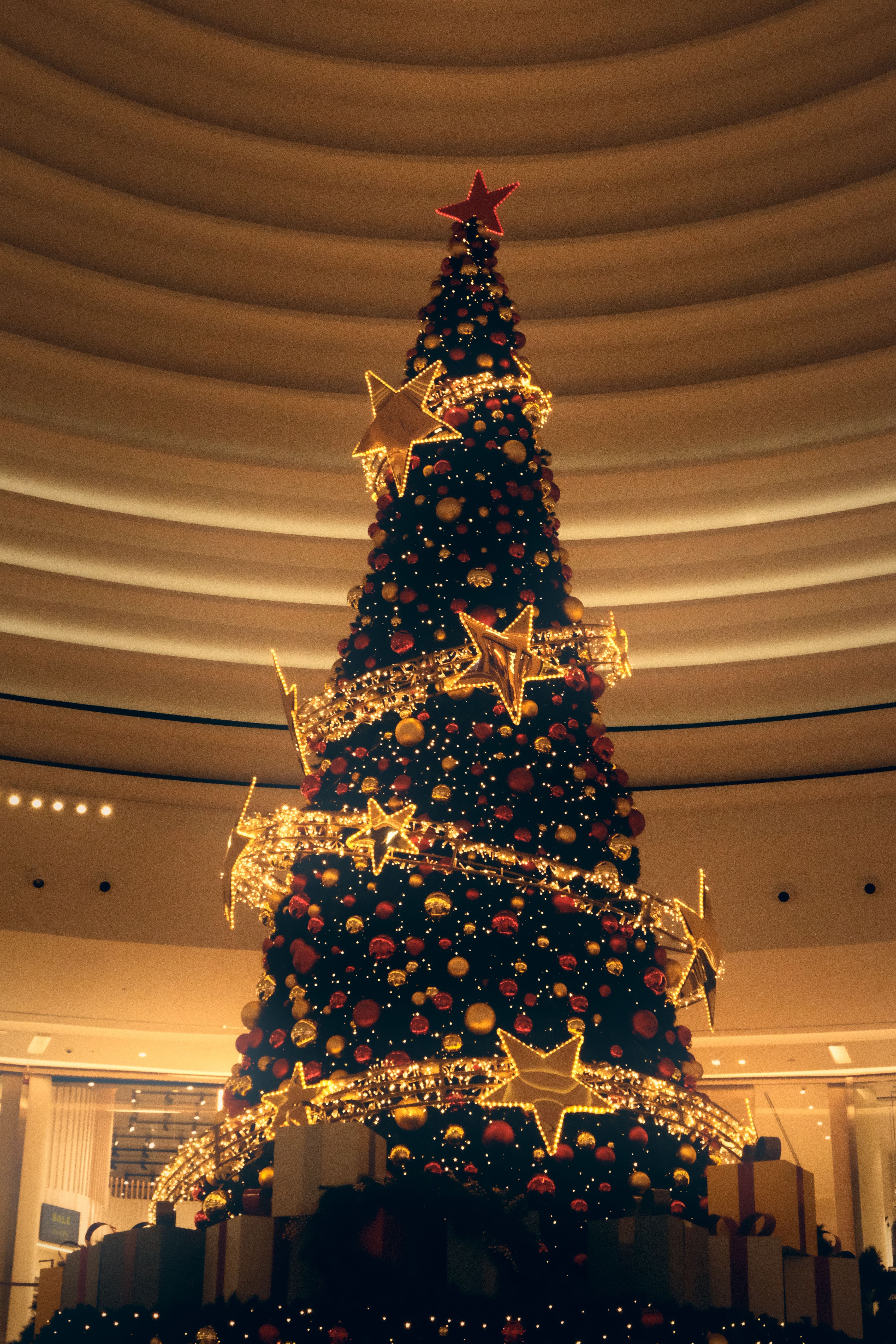 Majestic Christmas Tree in Shopping Mall Atrium · Free Stock Photo