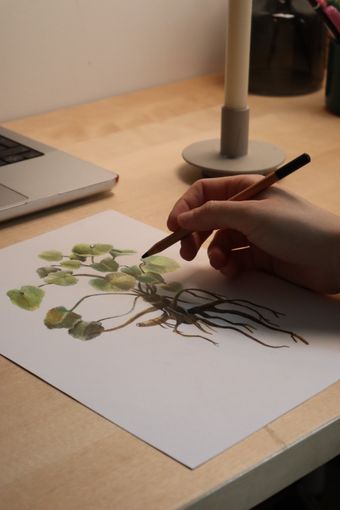 Buyer photo of a botanical study being painted — İclal Çapoğlu Cinal on Pexels