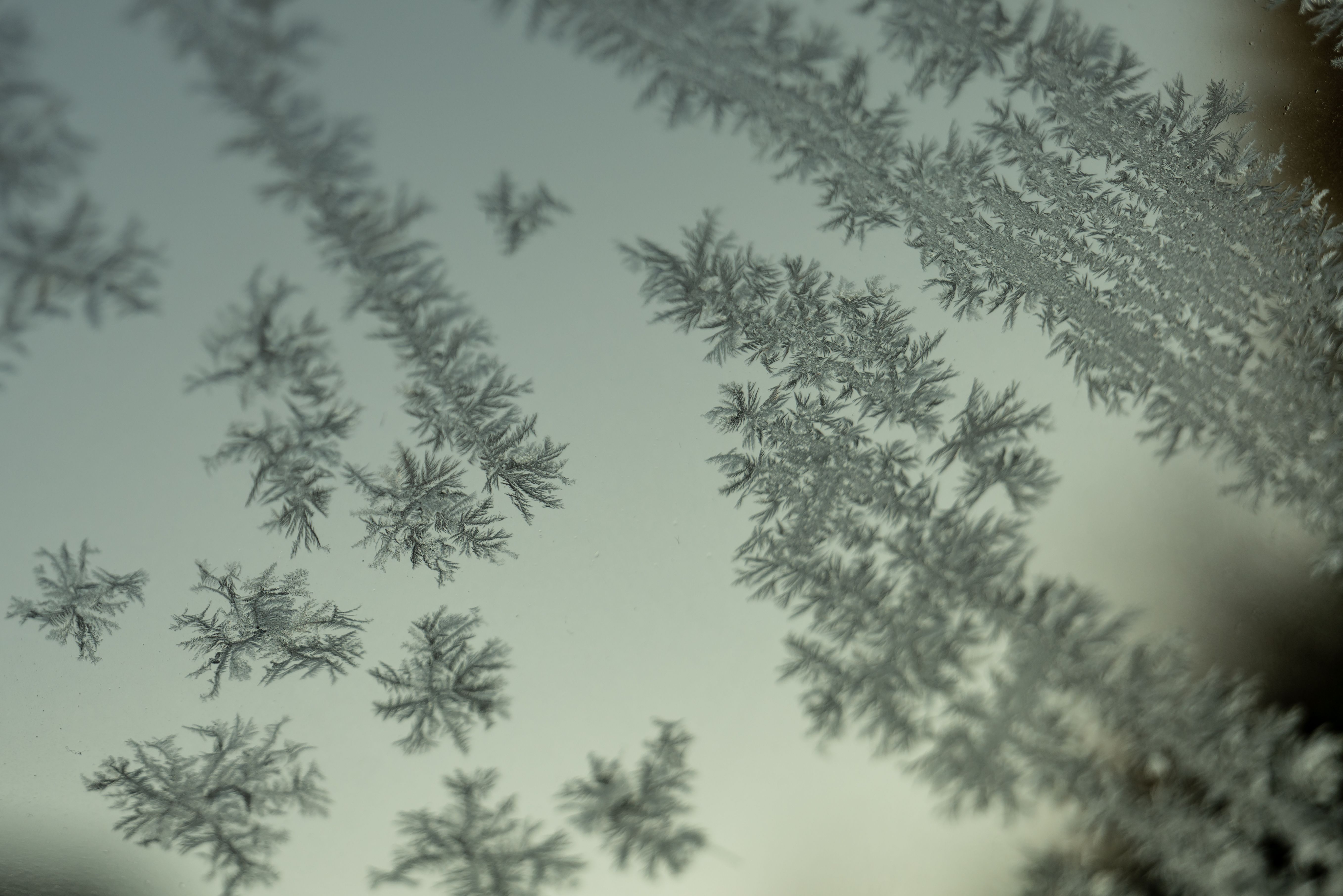 Close-up of Frost Patterns on a Window Pane · Free Stock Photo