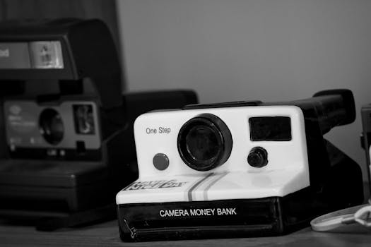 Black and white image of vintage Polaroid cameras on a shelf, focusing on retro design.