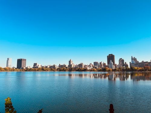 Free Skyline view of Central Park and surrounding buildings reflecting in a tranquil lake under a clear blue sky. Stock Photo