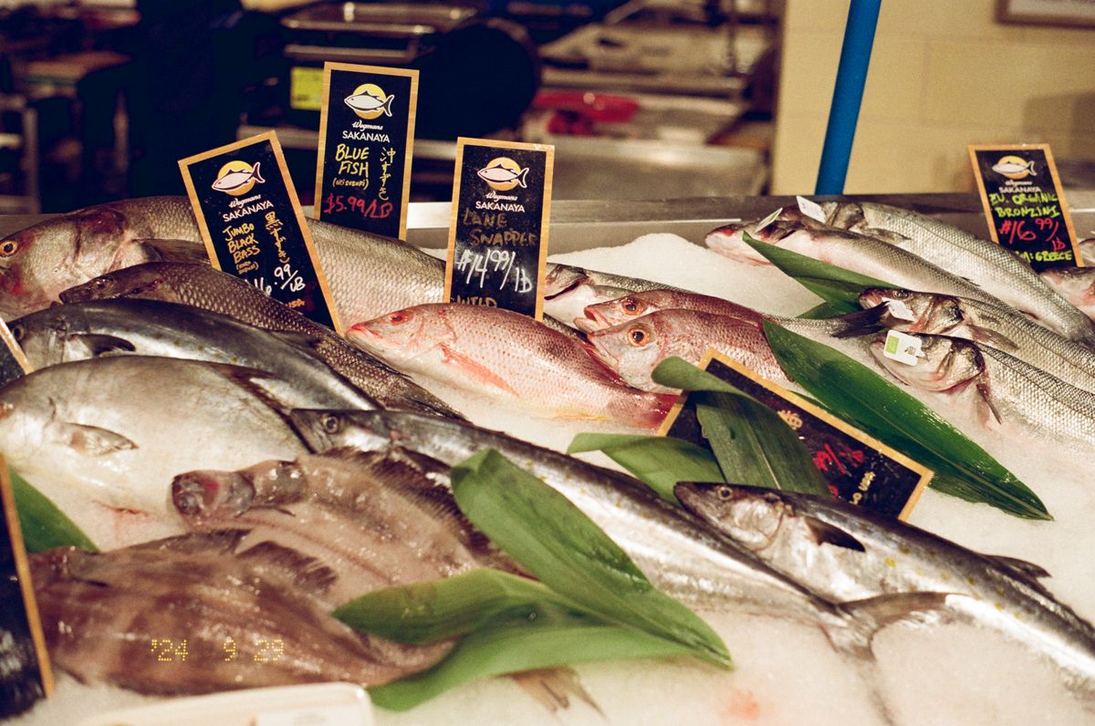 Variety of fresh fish at a market display