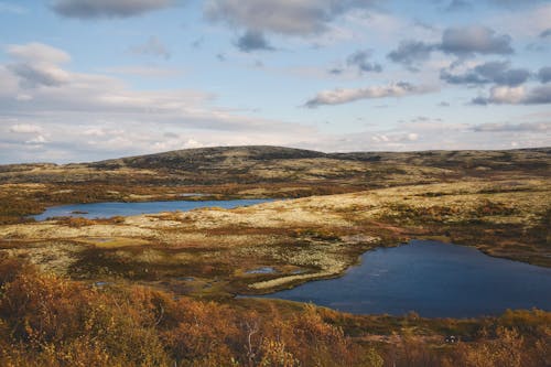 Gratis arkivbilde med falle, himmel, høst