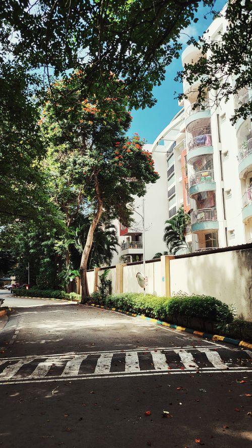Free Peaceful urban street scene with lush trees and residential buildings on a sunny day. Stock Photo