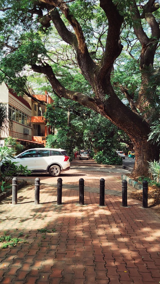 Photo: Grayomm A tree-lined street with parked cars, Bengaluru