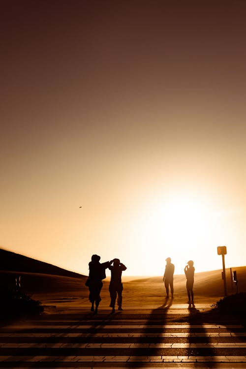 Silhouette of People Walking on Pedestrian Lane