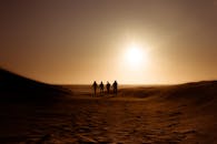 Silhouette of People Walking on Sand Dune