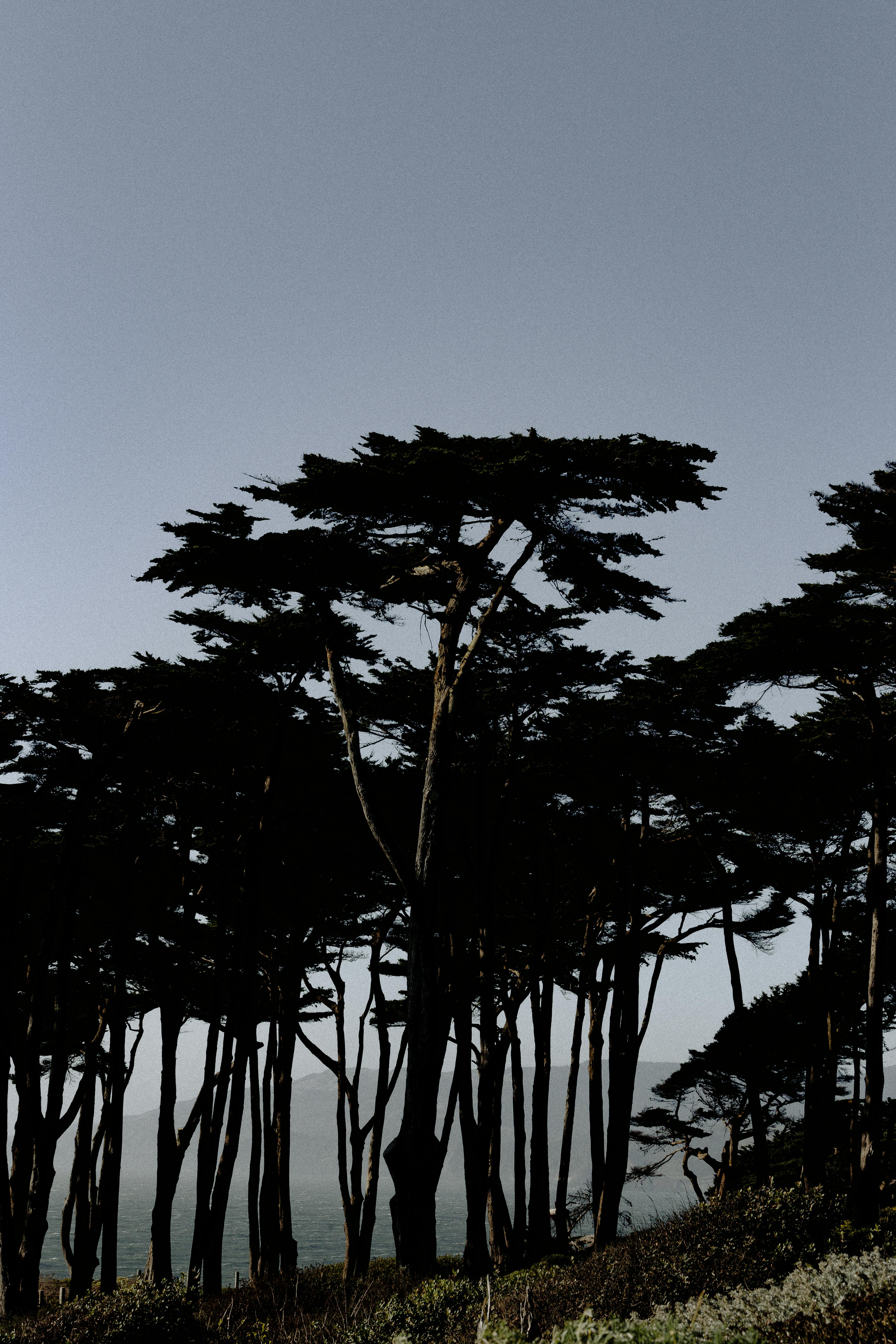 Cypress Weather Photos, Download The BEST Free Cypress Weather Stock