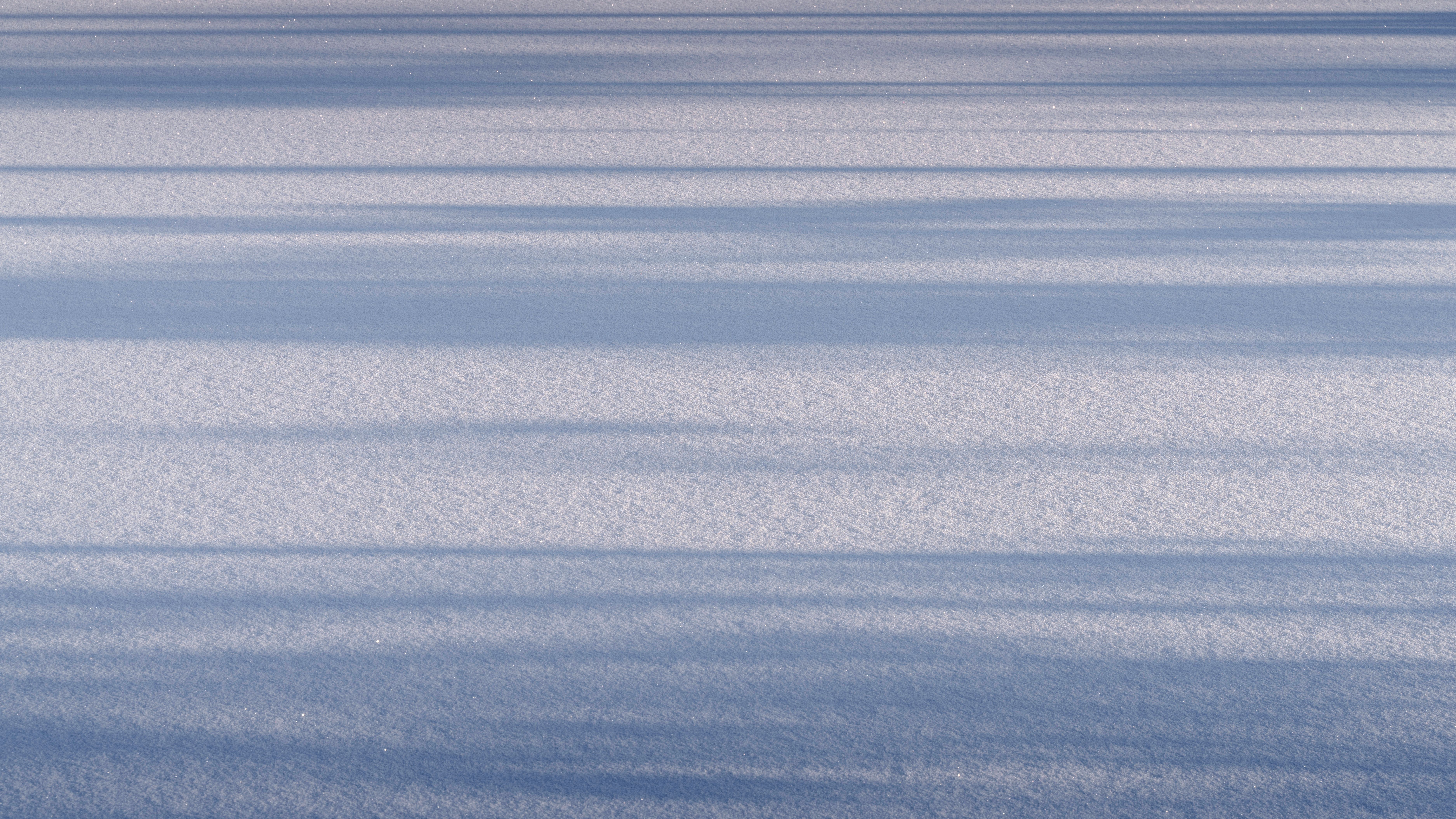 Serene Winter Landscape with Snow Shadows · Free Stock Photo