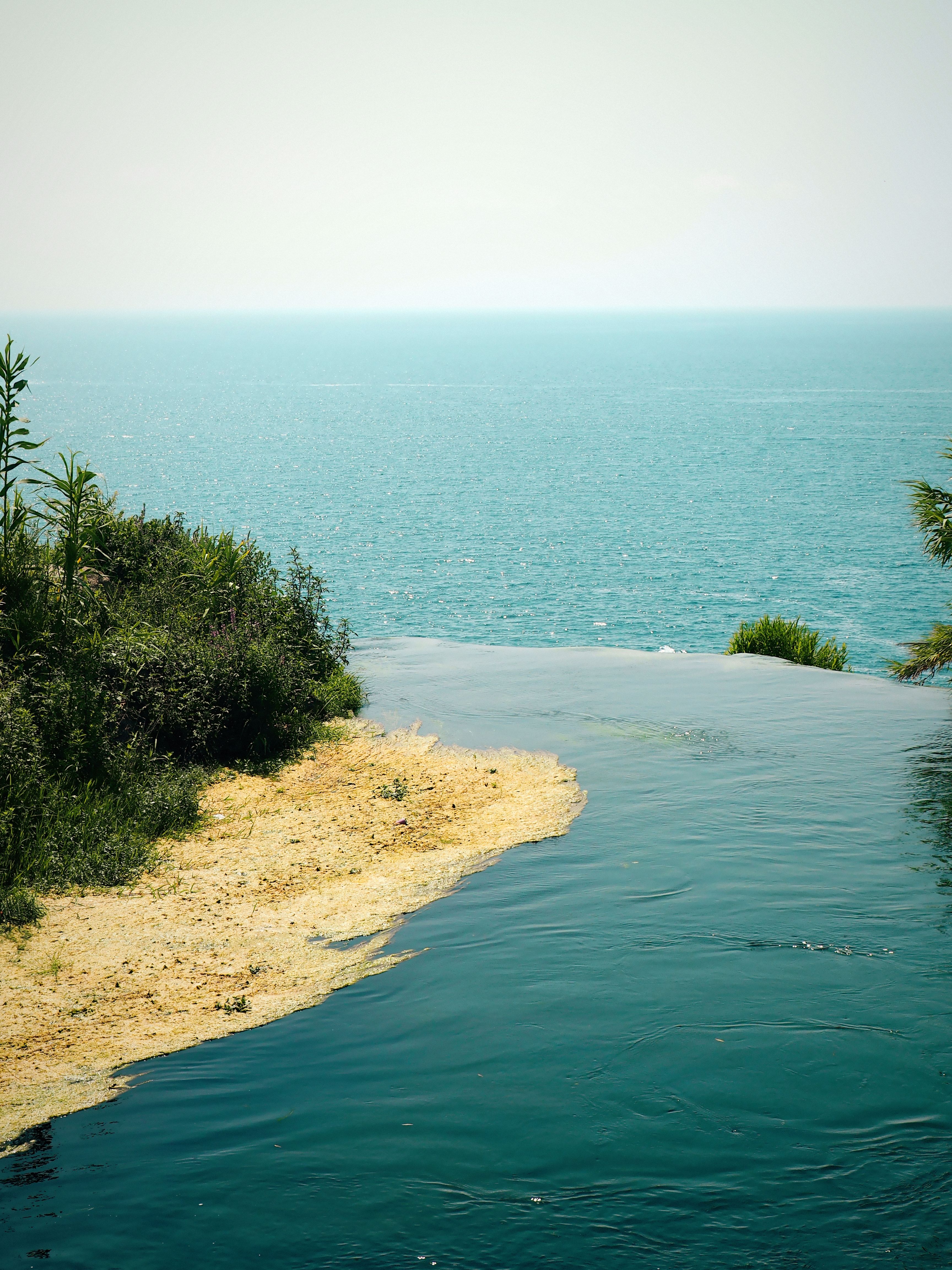 Tranquil Coastal View with Lush Greenery · Free Stock Photo