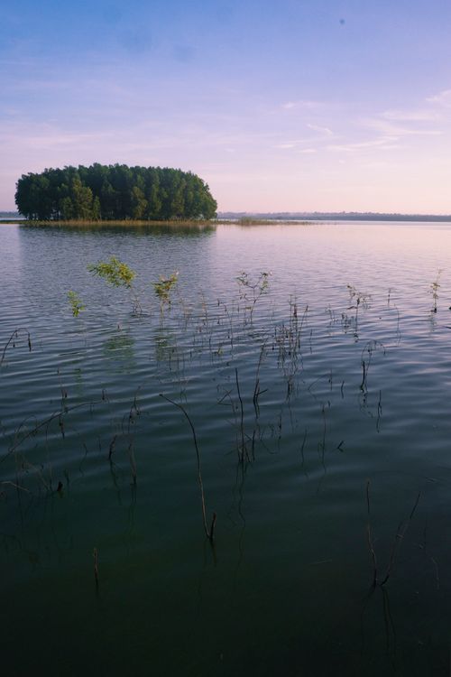Free Tranquil lake with a small green island and clear skies, perfect for nature enthusiasts. Stock Photo