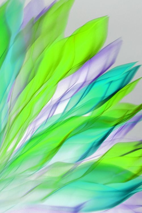 Free Vibrant abstract artwork with green and purple feathers on a light background. Stock Photo