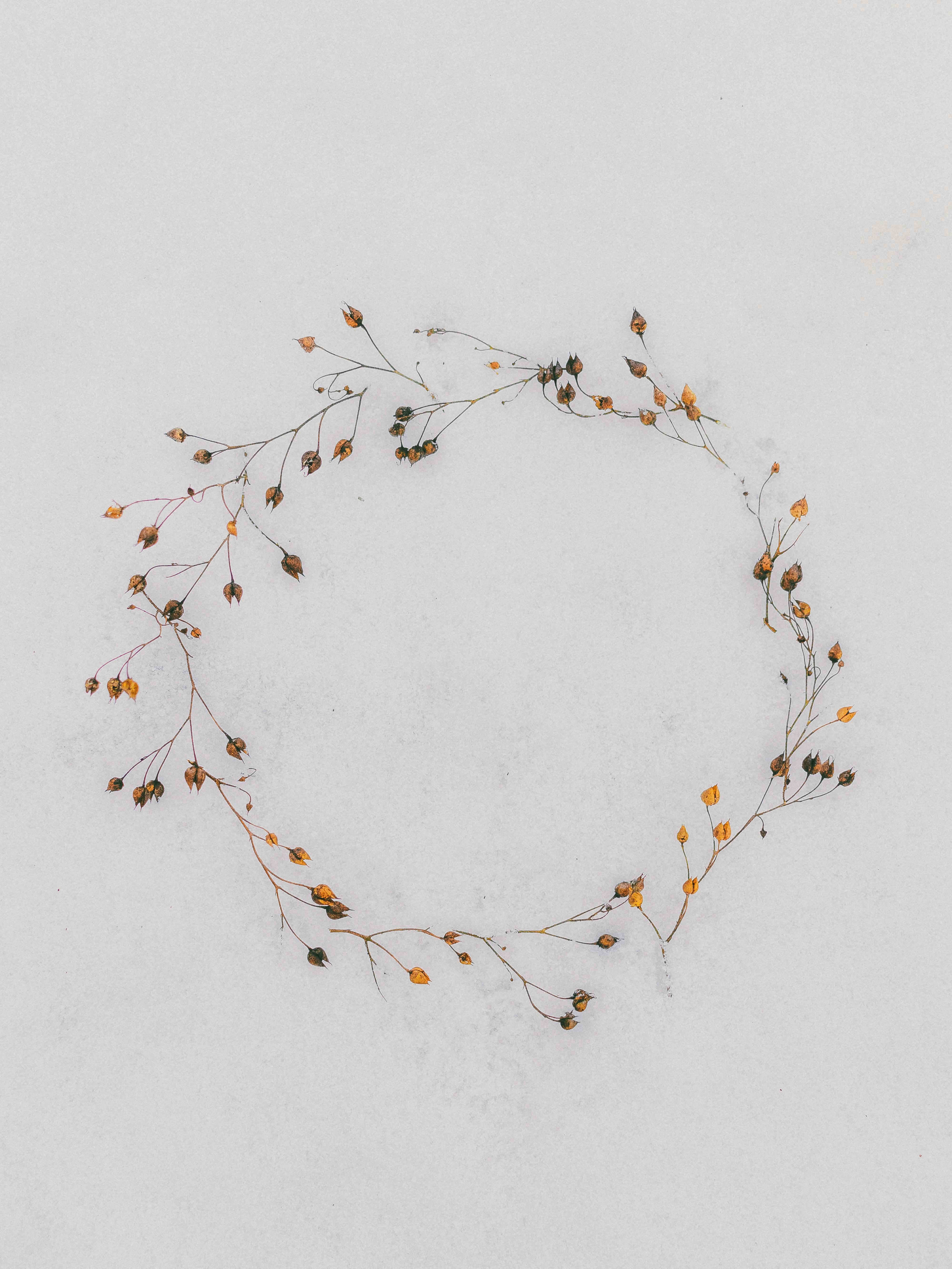 Elegant minimalist floral wreath made of delicate branches on a white surface.