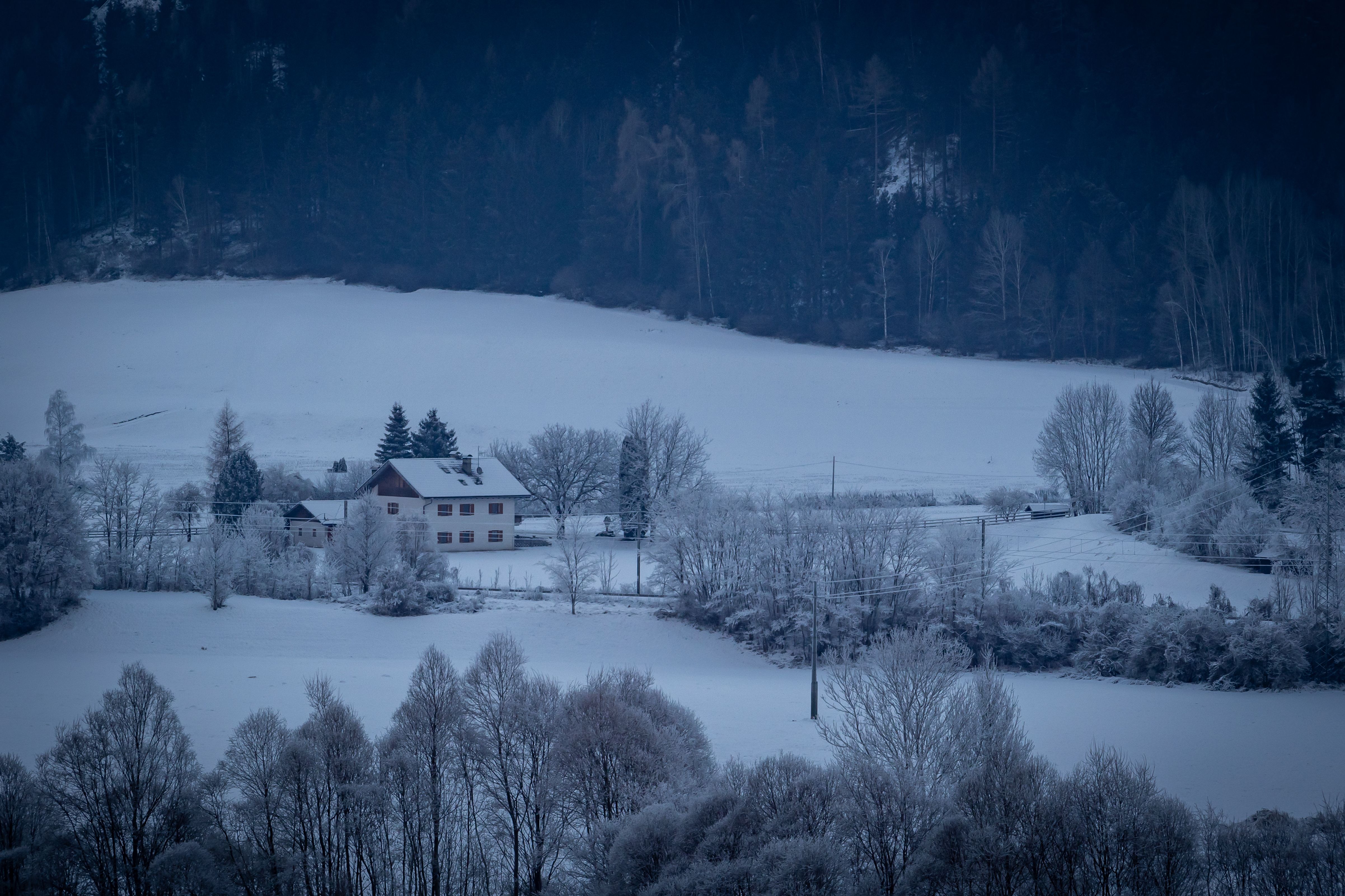 Snow-covered landscape with a house and trees in a serene winter setting.