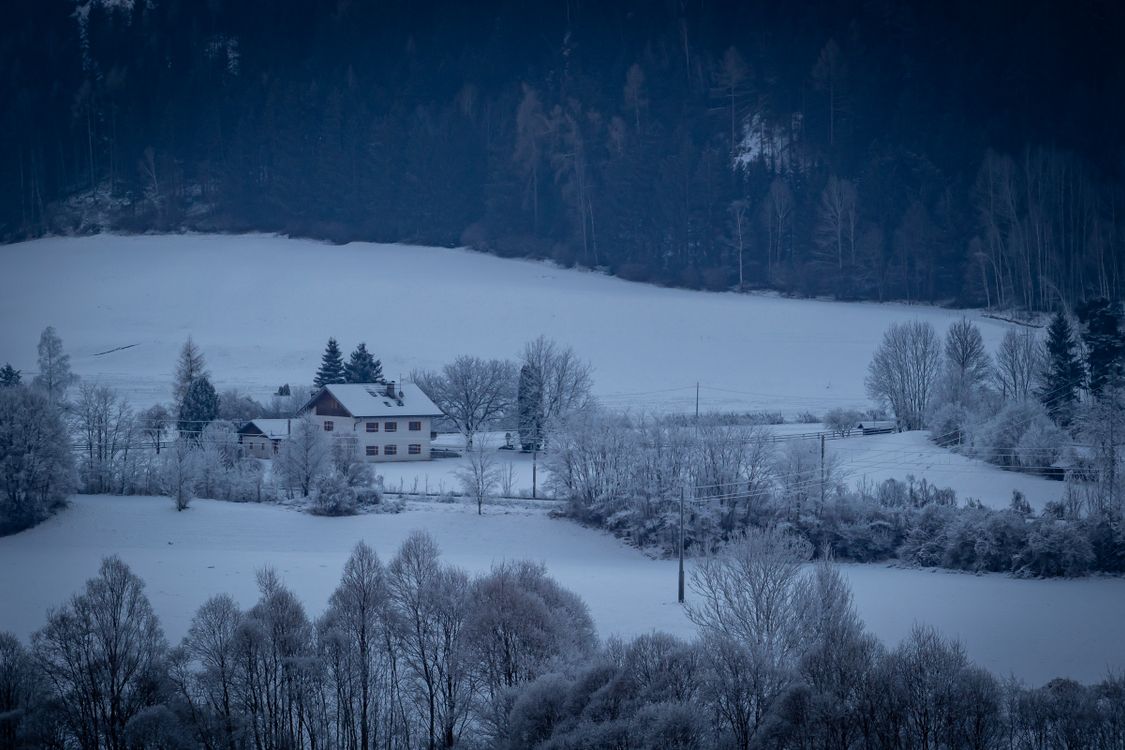 Winter Wonderland Landscape with Snow-Covered Trees · Free Stock Photo