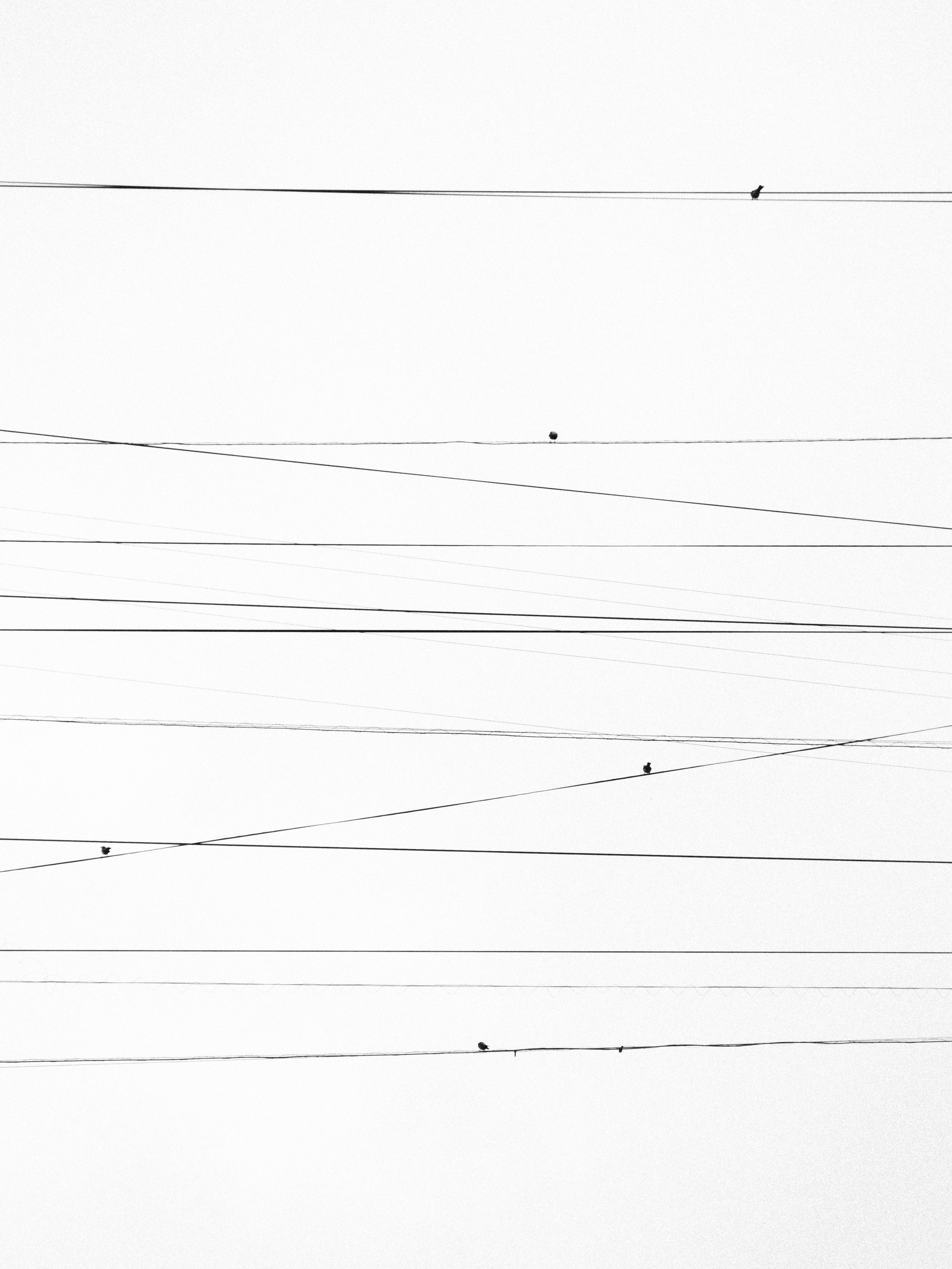 De franc Foto d'estoc gratuïta de a l'aire lliure, abstracte, artístic Foto d'estoc