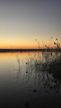Serene sunset view over a calm lake with grasses silhouetted against the colorful sky.
