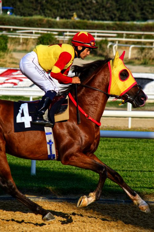 Free Action-packed horse racing moment featuring a focused jockey and vibrant horse. Stock Photo
