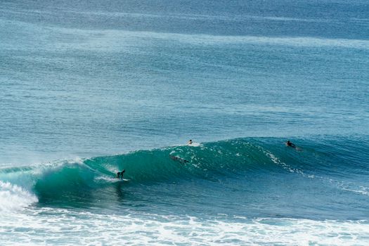 bali surfing wave