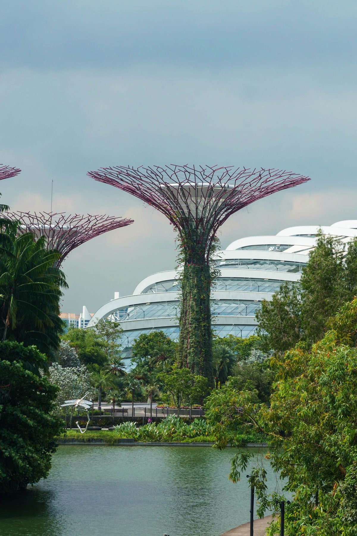 Singapore Value Explorer — photo 3
