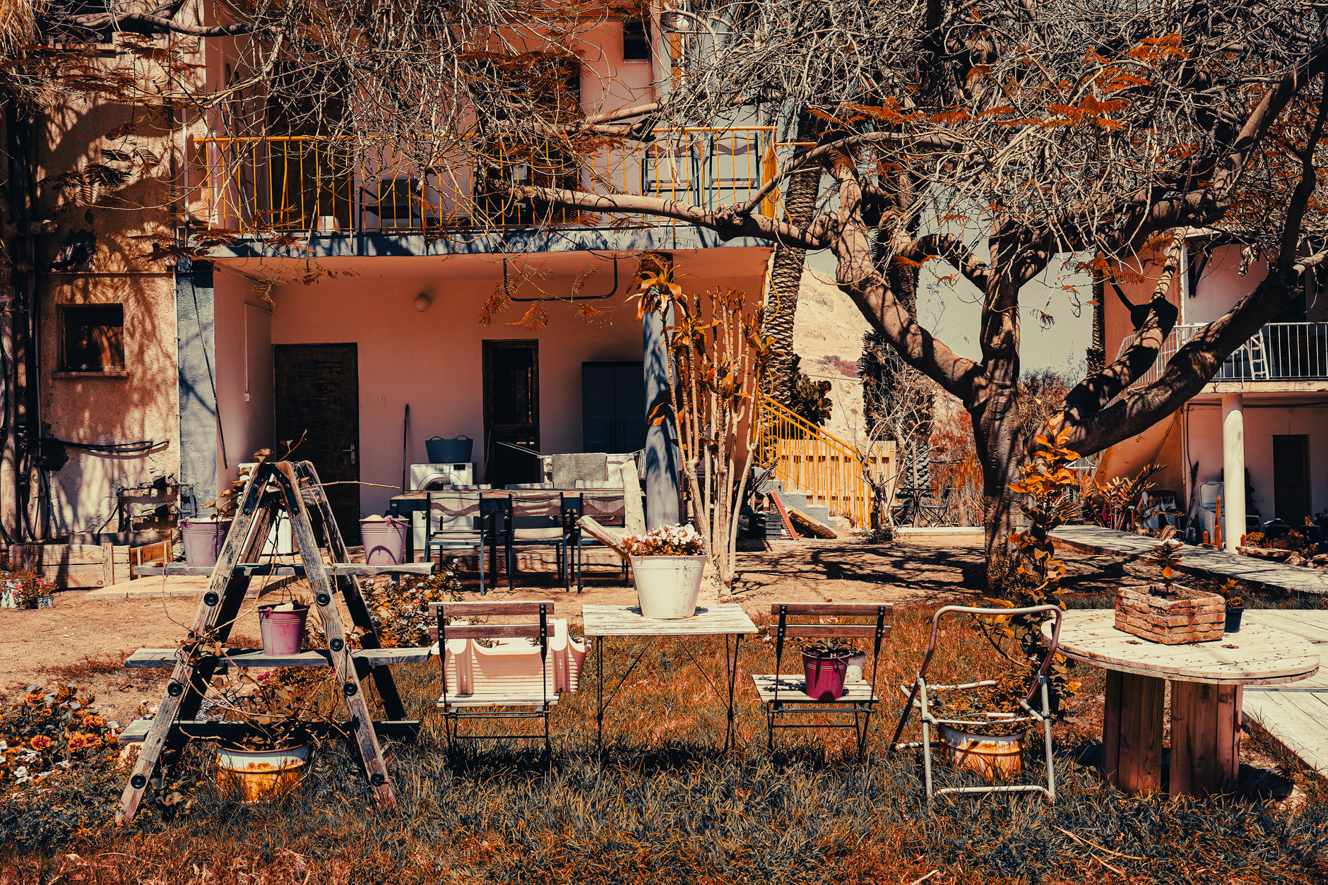 aesthetic patio organization with DIY hacks Rustic backyard space with garden decor and trees in Ein Gedi, Israel.