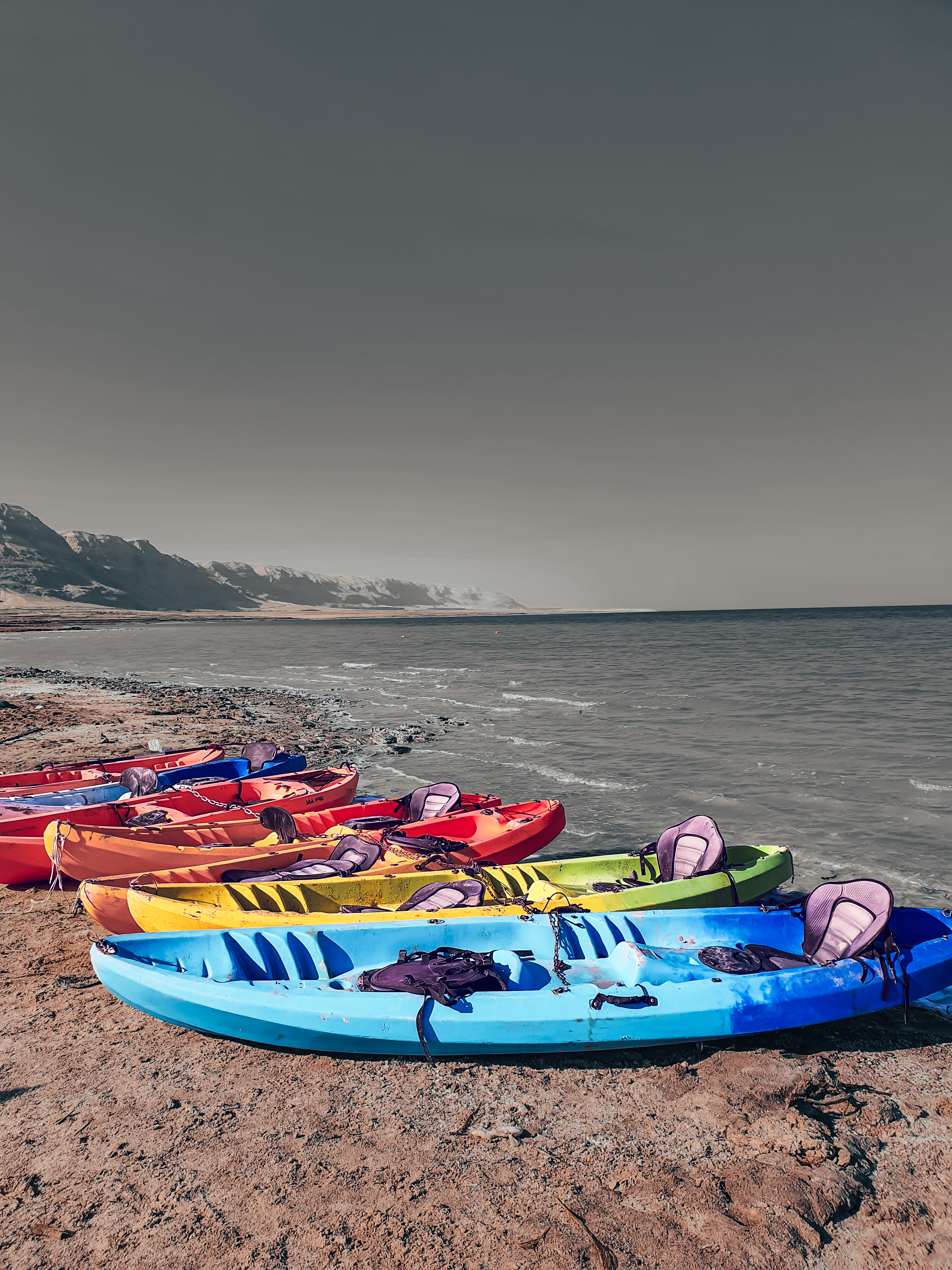 Colorful Kayaks on a Tranquil Beach Shoreline · Free Stock Photo