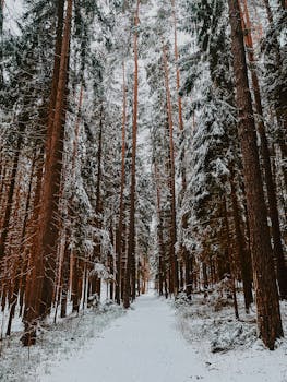 Image by Jonathan Schmer