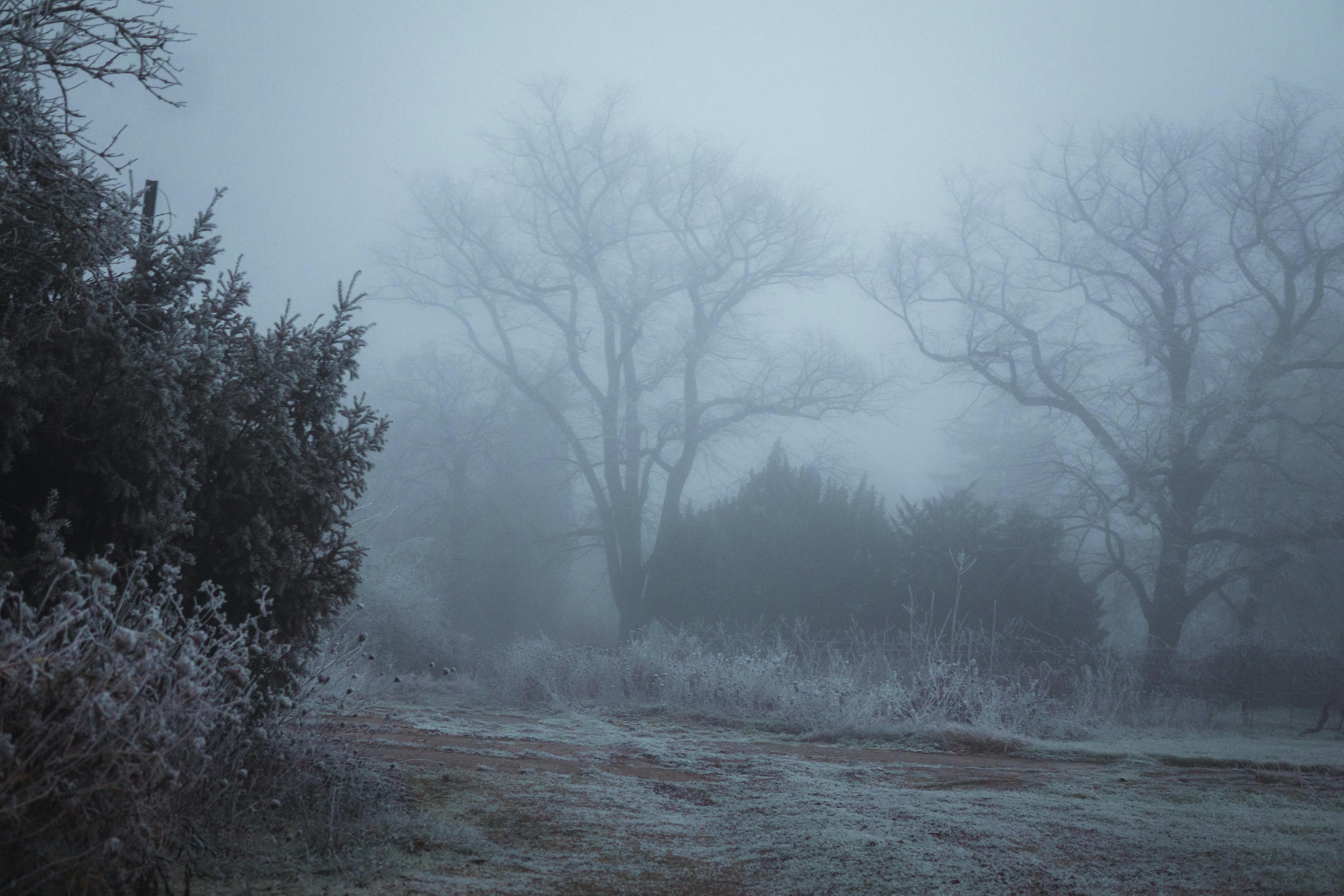 misty winter landscape in rheinland pfalz