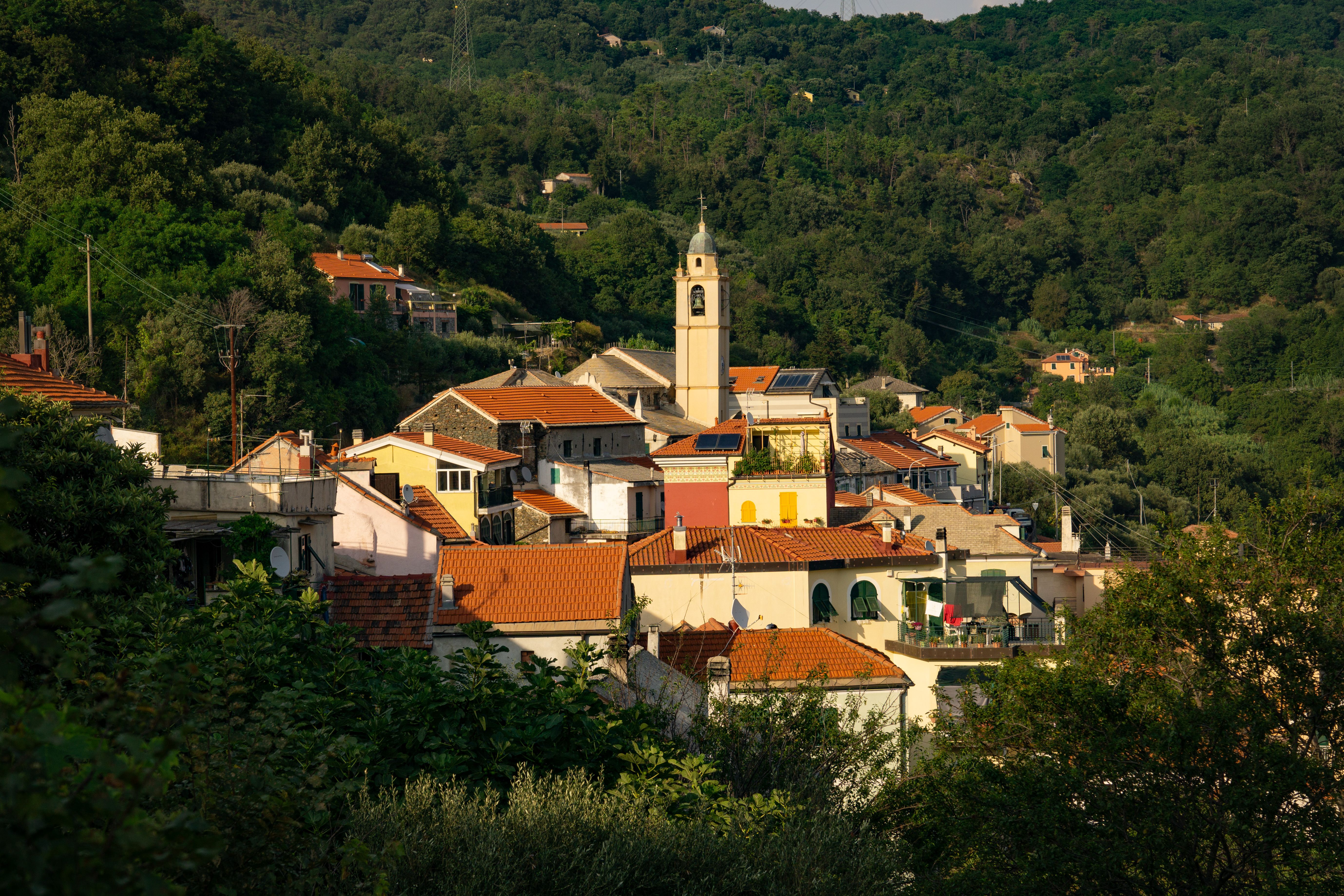 Stella Croatica i Muzeum Oliwy