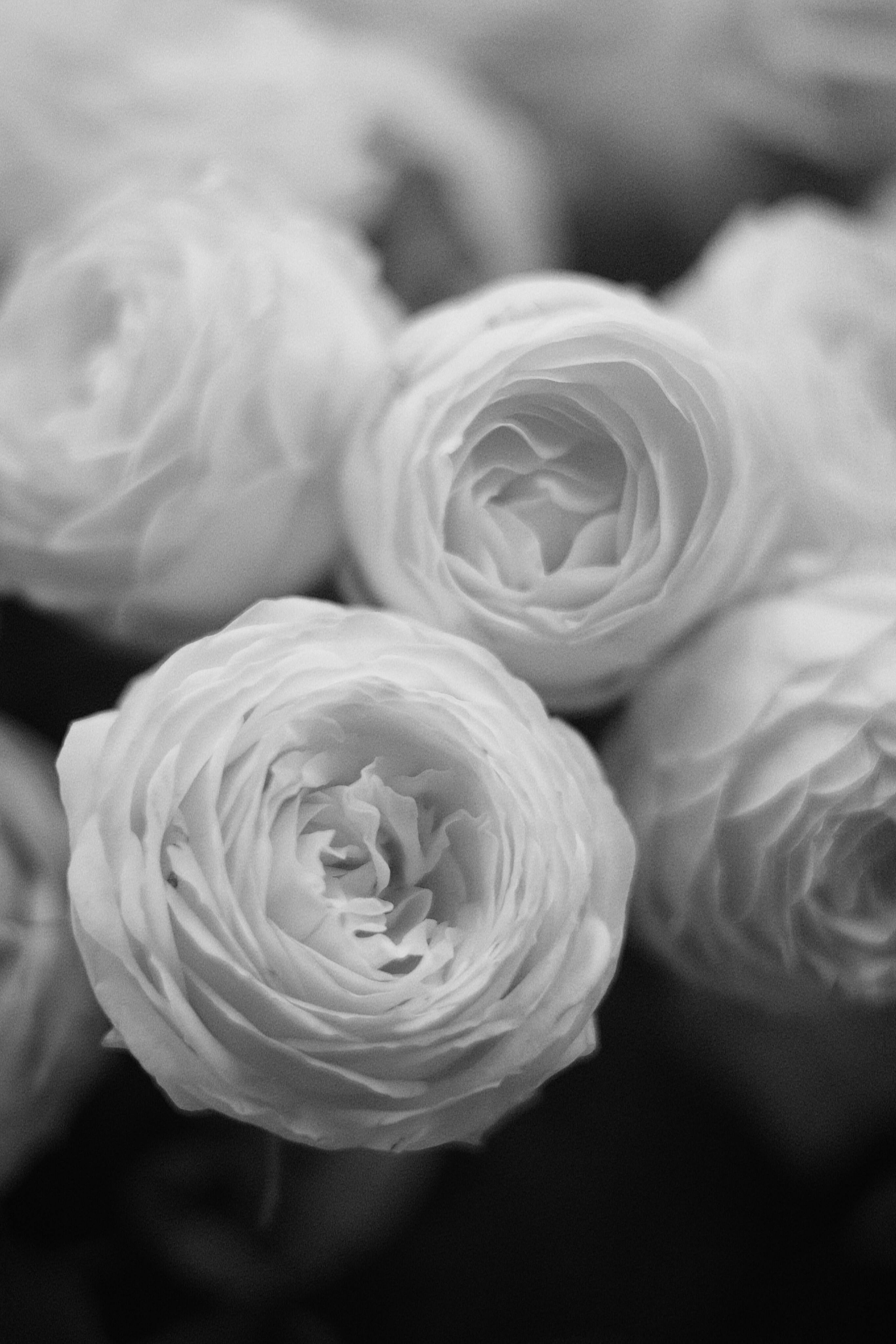 A detailed close-up of a beautiful bouquet of roses in black and white, showcasing elegance and grace.