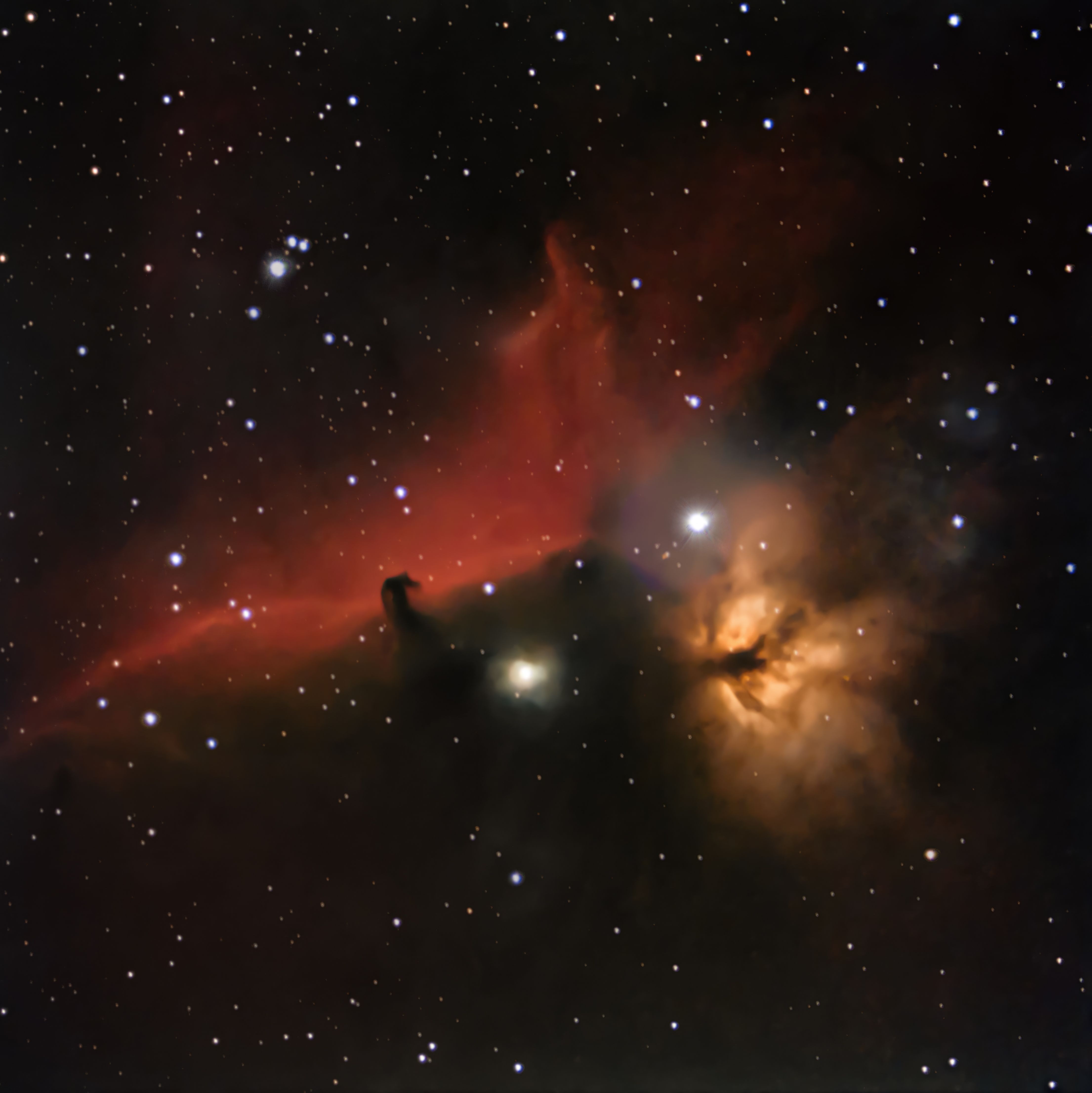 Stunning Image of Horsehead Nebula in Orion · Free Stock Photo