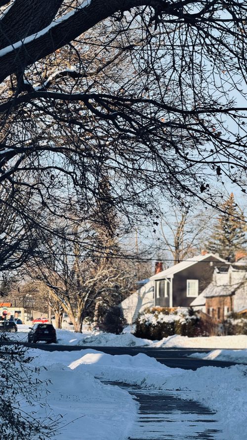 Free A tranquil suburban street covered in snow during winter, featuring houses and bare trees. Stock Photo