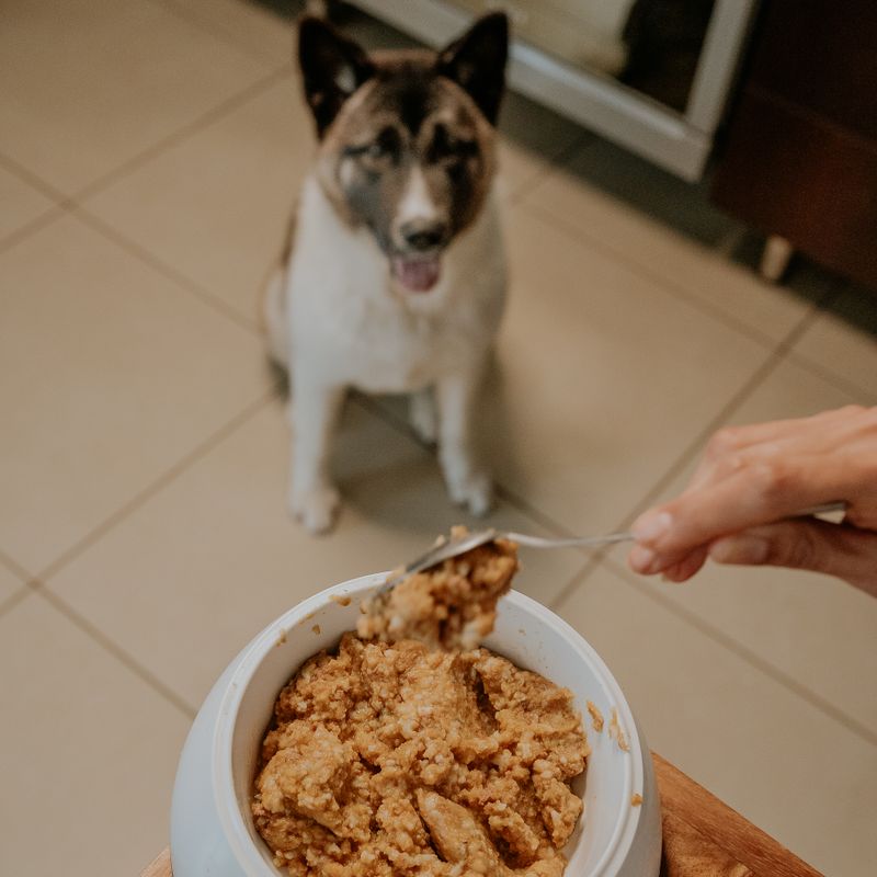 N&D Tavuklu Yetişkin Köpek Maması 3kg