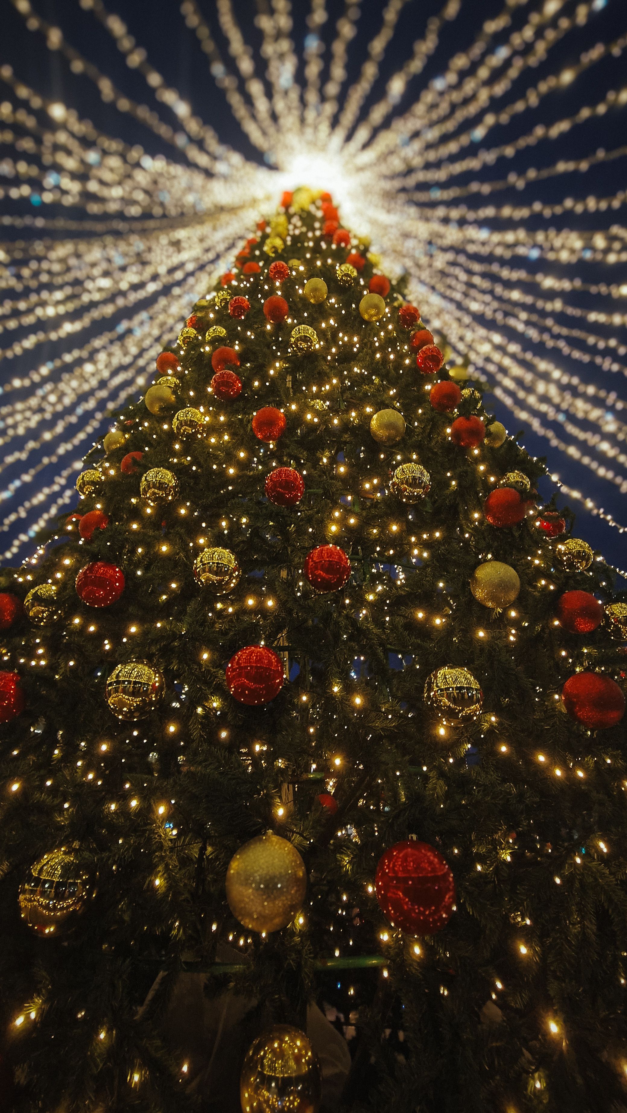 Vibrant Christmas Tree with Festive Ornaments · Free Stock Photo