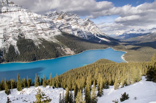 Free A stunning aerial view of Peyto Lake in Jasper National Park, Alberta, Canada, surrounded by snowy mountains. Stock Photo