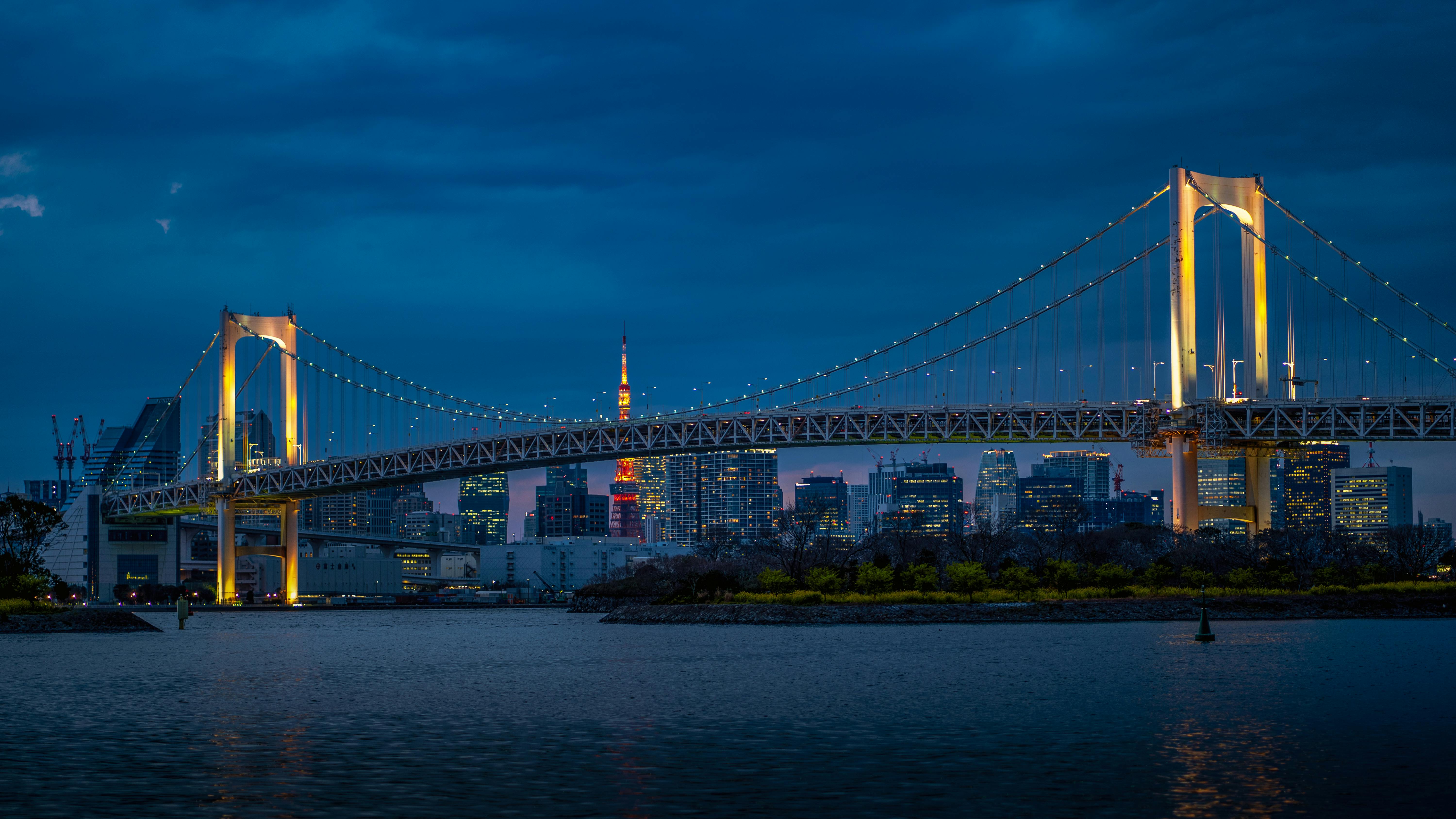 view of bridge at night