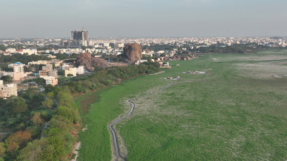 Patna