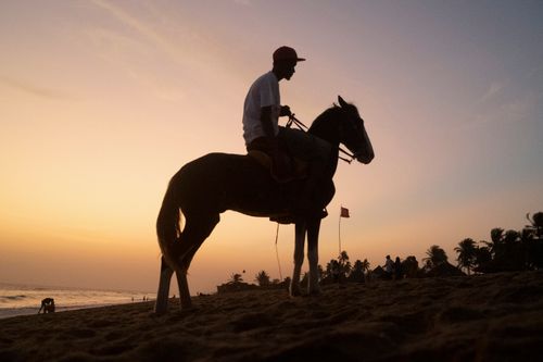 Free A striking silhouette of a horse rider against a vibrant Lagos beach sunset, capturing a serene evening moment. Stock Photo